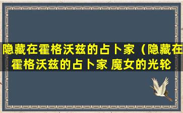 隐藏在霍格沃兹的占卜家（隐藏在霍格沃兹的占卜家 魔女的光轮 著）